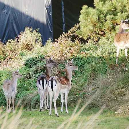 With A Fireplace 02 別荘 *